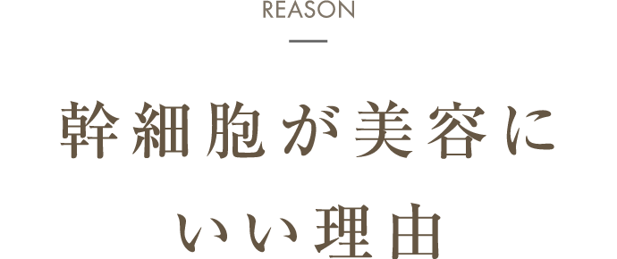 幹細胞が美容にいい理由
